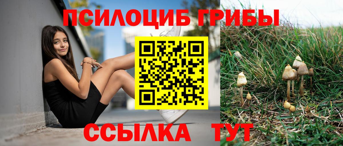 Гашиш  Бошки Шишки  COCAIN  Меф МЯУ МЯУ  Берёзовский  Меф МЯУ МЯУ   Вход с VPN 
