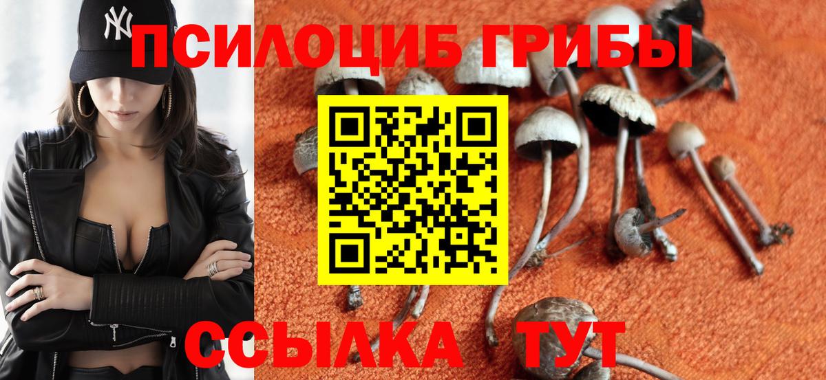 Псилоцибиновые грибы GOLDEN TEACHER Берёзовский