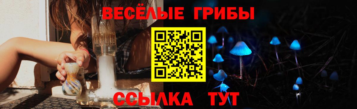 Галлюциногенные грибы MAGIC MUSHROOMS  Вход с VPN  Берёзовский 